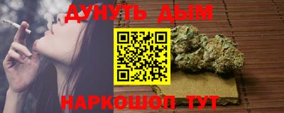альфа пвп Новодвинск