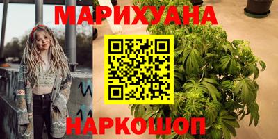 альфа пвп Новодвинск