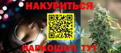 альфа пвп Новодвинск