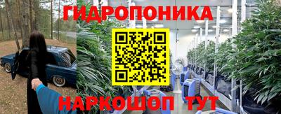 mix Новозыбков