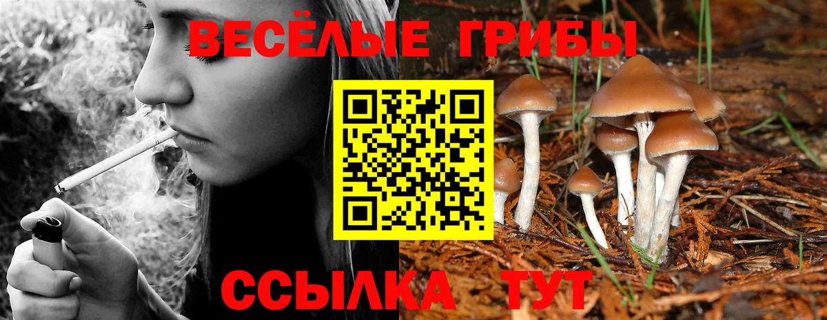 где найти   Галлюциногенные грибы мухоморы  Вход с VPN  Псилоцибиновые грибы мицелий  Павлово 