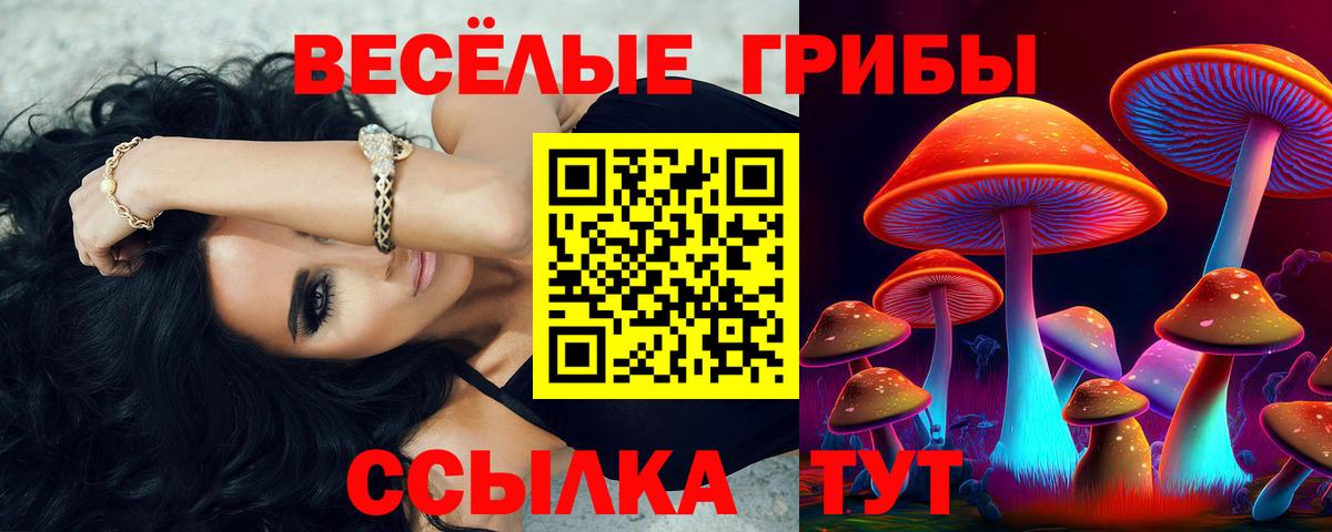Галлюциногенные грибы Psilocybe Павлово